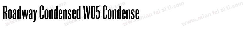 Roadway Condensed W05 Condensed字体转换